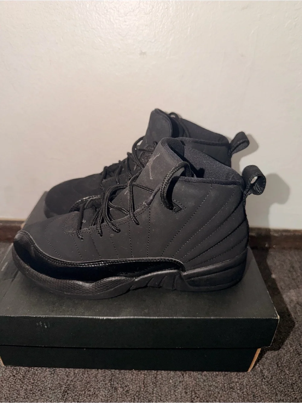 Jordan 12 black